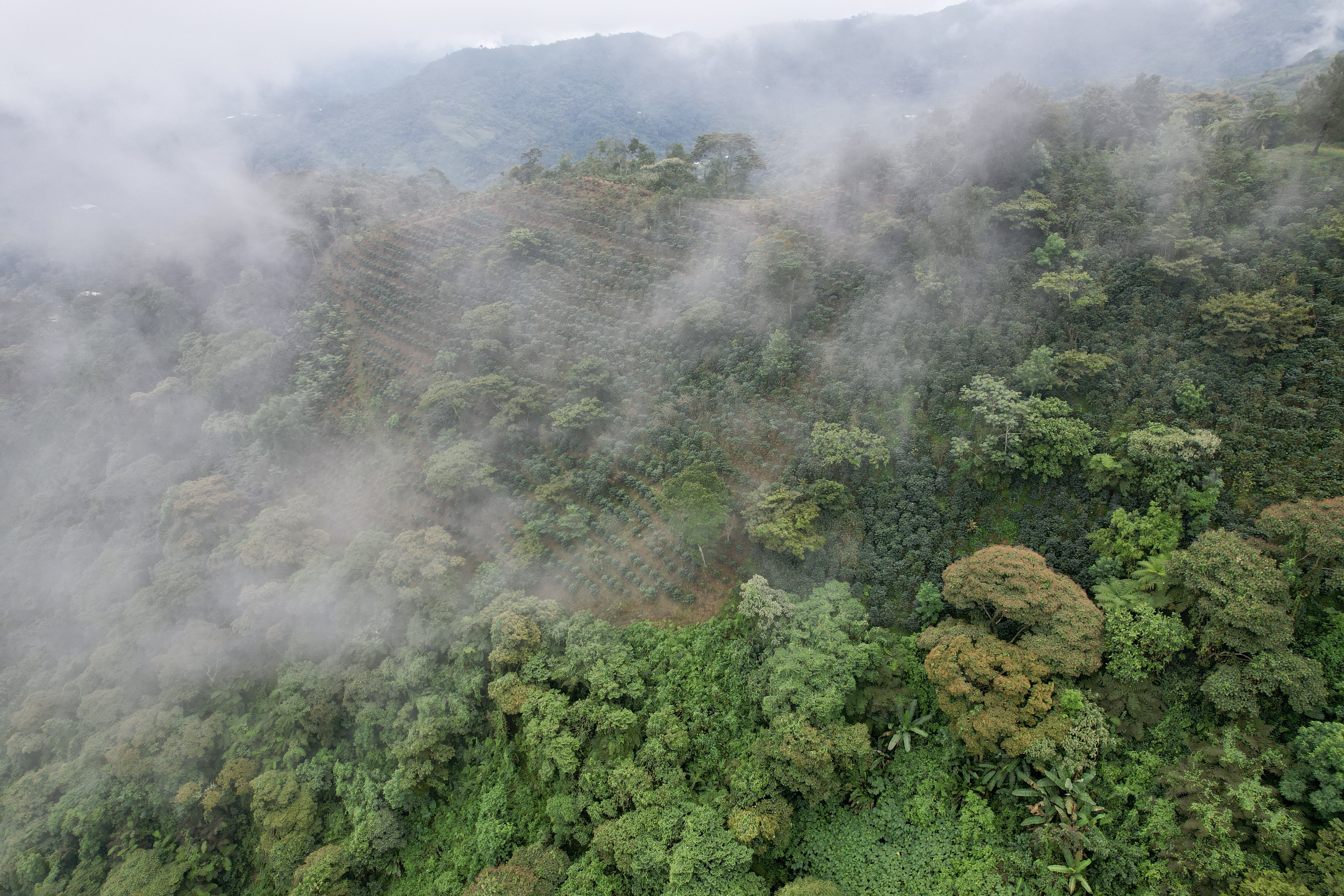The Emergence of MAYACERT: An Oasis of Organic Certification in Latin America